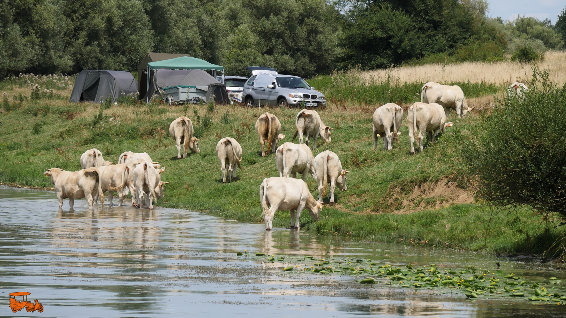 saone-delta-1980-48 DxO